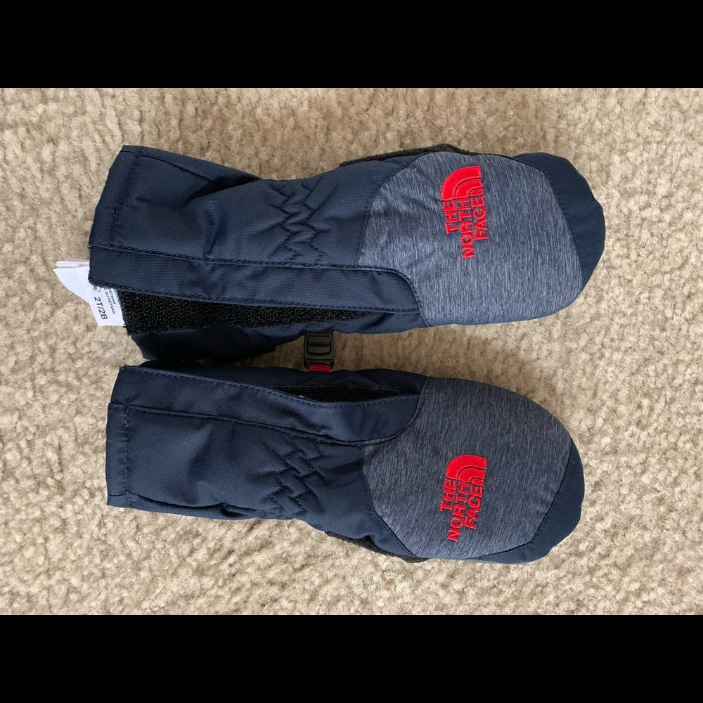 North face mittens